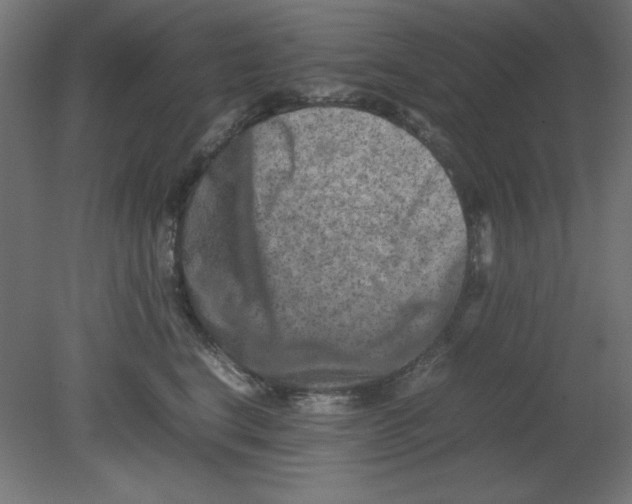 X0000080750664200701122004