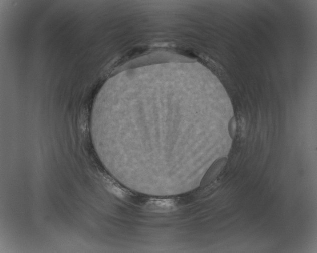 X0000080750665200701122004