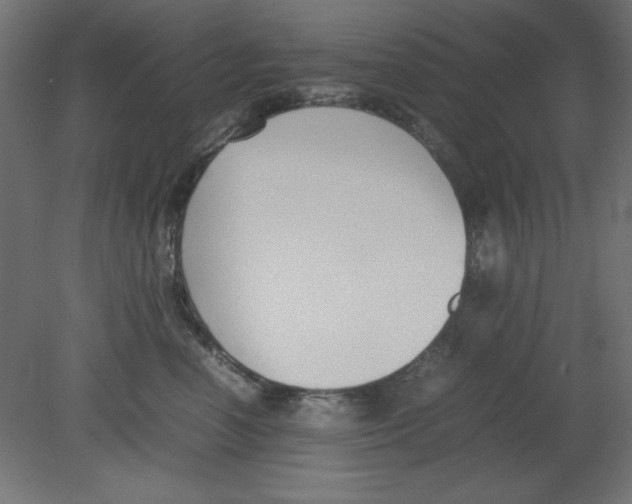 X0000080750666200701122004