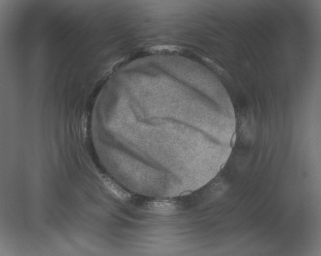 X0000080750668200701122004