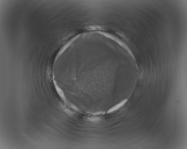 X0000080750669200701122004