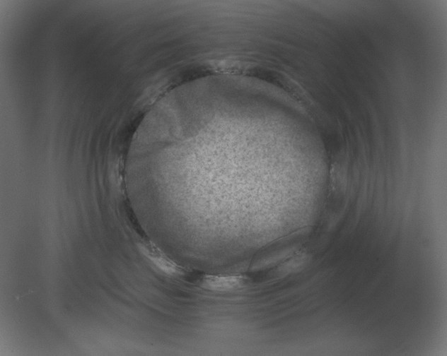 X0000080750671200701122004