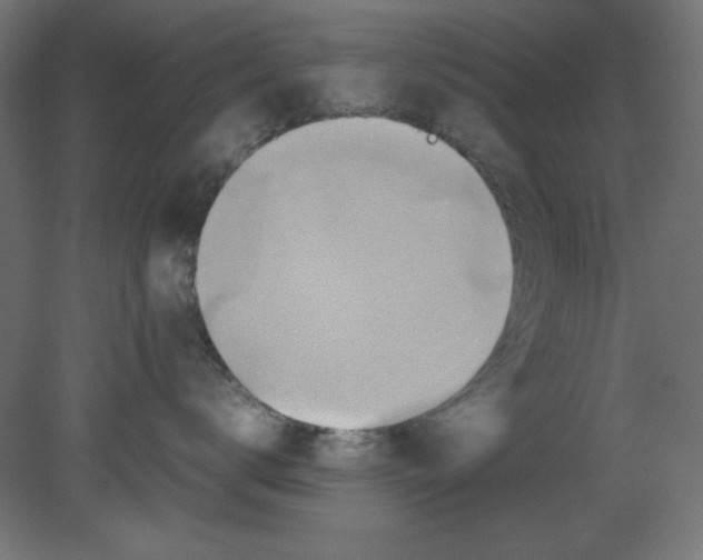 X0000080750672200701122004