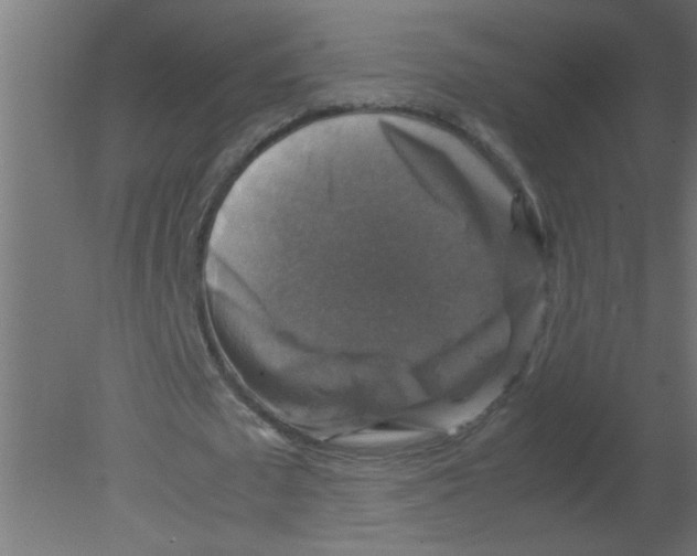 X0000080750673200701122004