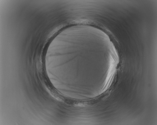 X0000080750674200701122004