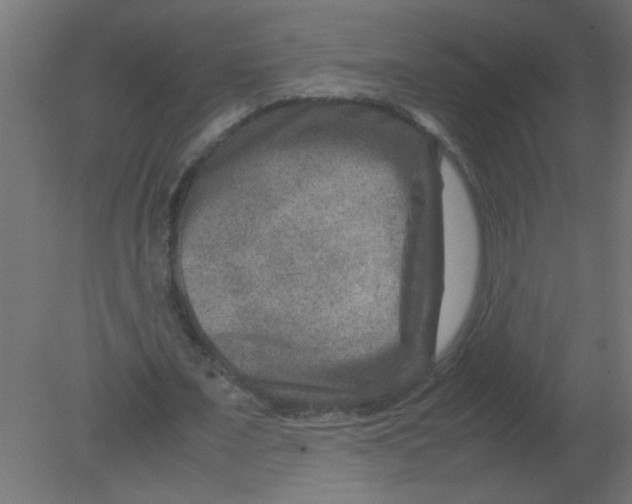 X0000080750675200701122004