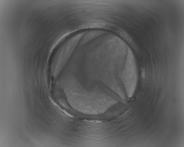 X0000080750676200701122004