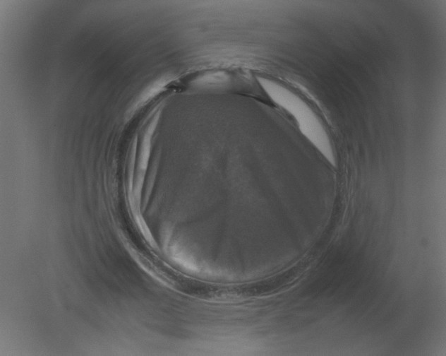 X0000080750677200701122004