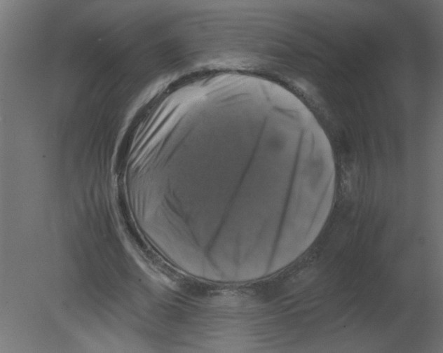 X0000080750678200701122004