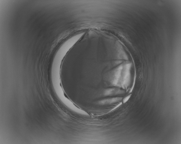 X0000080750685200701122003
