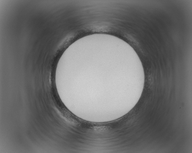 X0000080750686200701122003