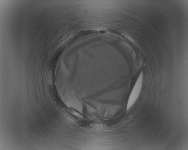 X0000080750689200701122003