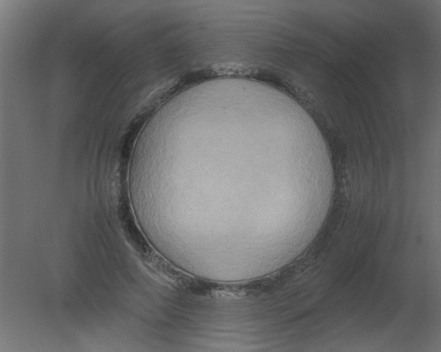 X0000080750690200701122003