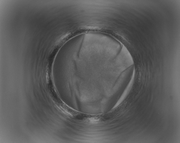 X0000080750692200701122003