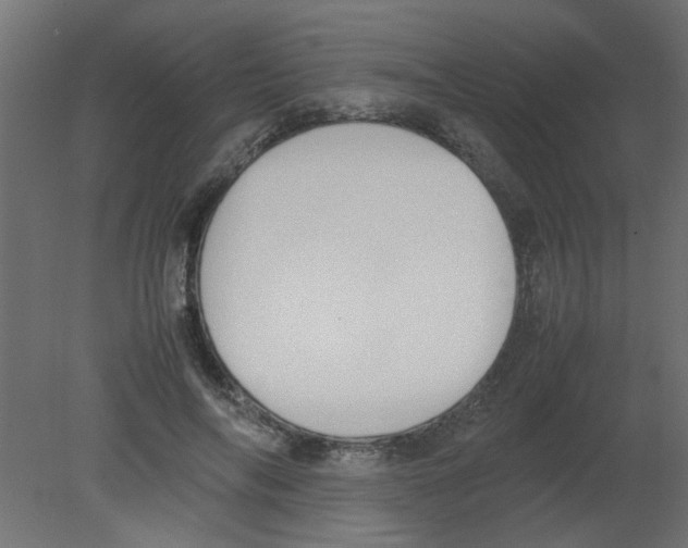 X0000080750694200701122003