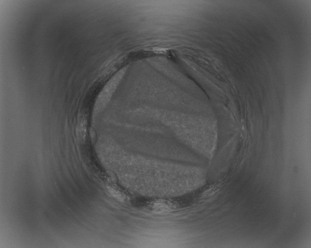 X0000080750697200701122003