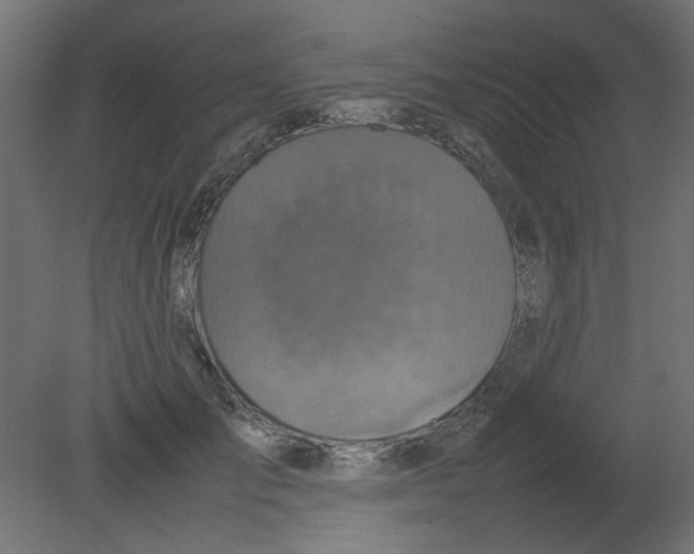 X0000080750701200701122003