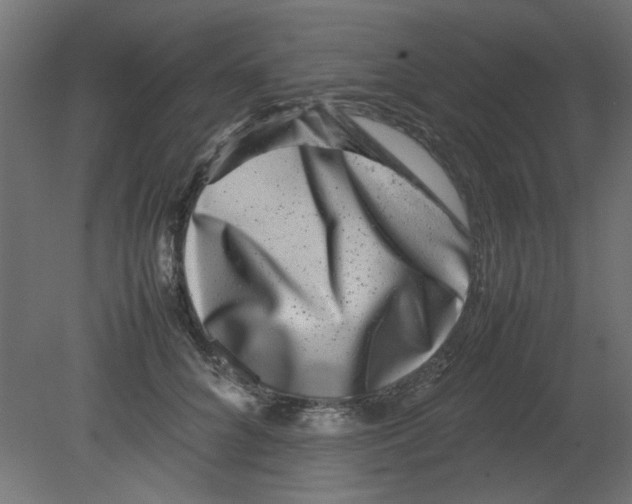 X0000080750704200701122003