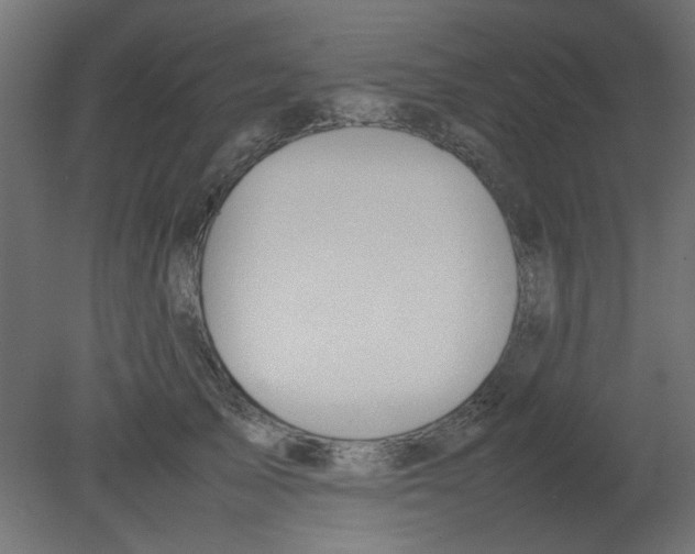 X0000080750705200701122003