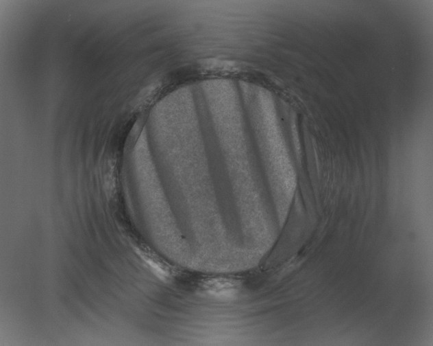 X0000080750708200701122003