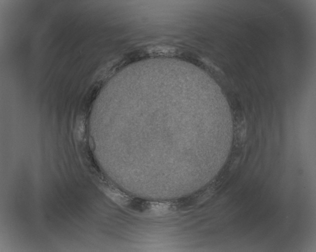 X0000080750709200701122003