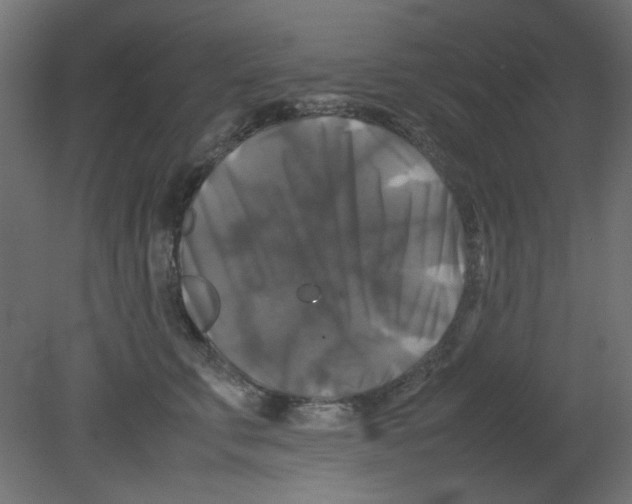 X0000080750711200701122003