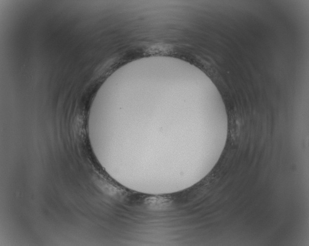 X0000080750714200701122003