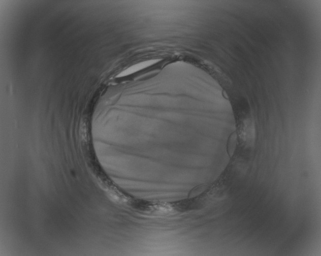 X0000080750715200701122003