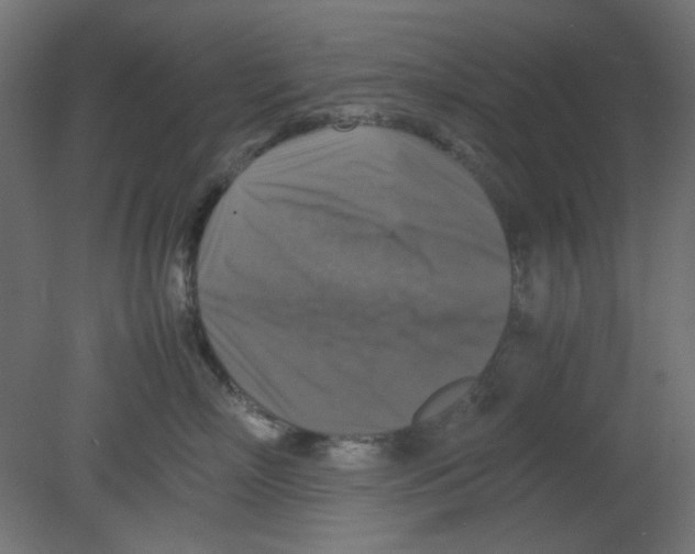 X0000080750718200701122003