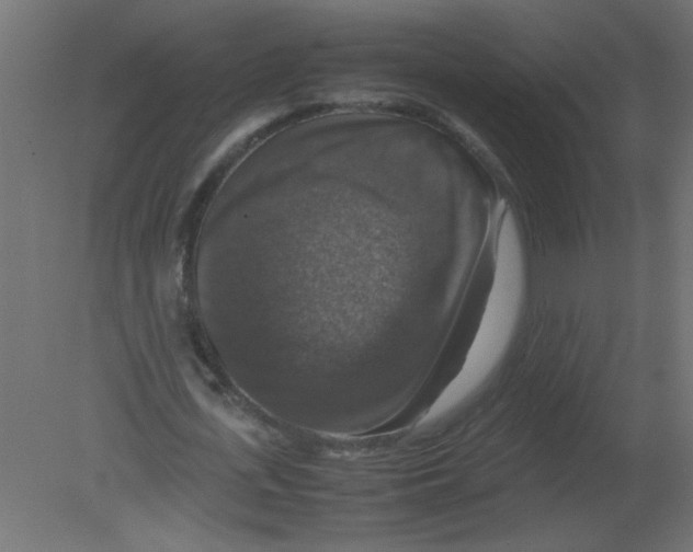 X0000080750723200701122002