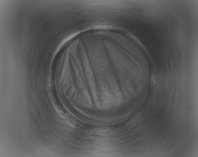 X0000080750724200701122002