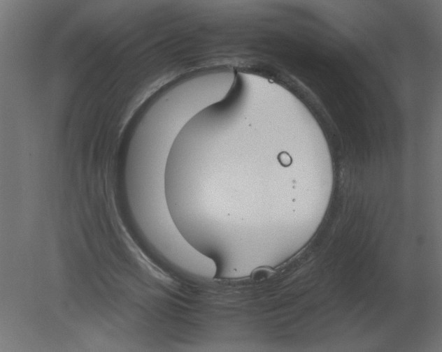 X0000080750725200701122002