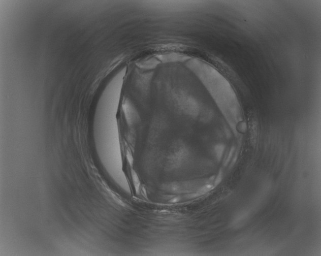 X0000080750729200701122002