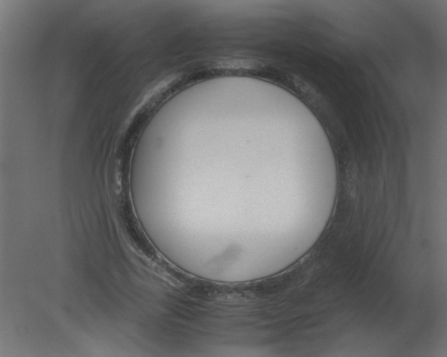 X0000080750731200701122002