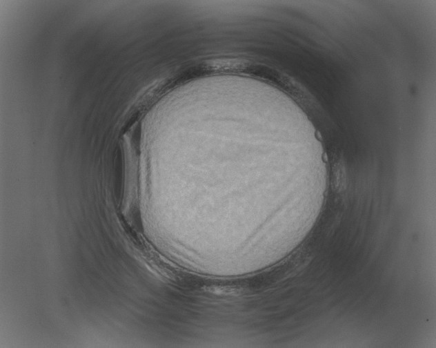 X0000080750733200701122002