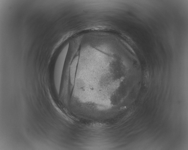 X0000080750734200701122002