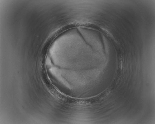 X0000080750736200701122002
