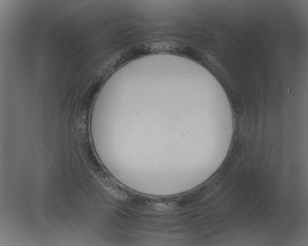 X0000080750737200701122002