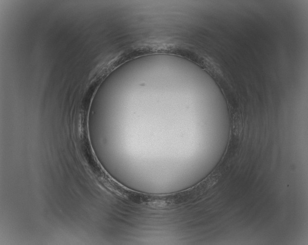 X0000080750740200701122002