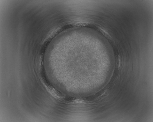 X0000080750742200701122002