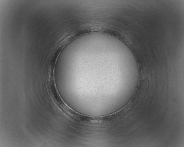 X0000080750744200701122002
