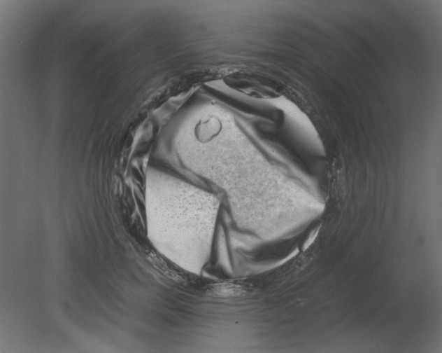X0000080750750200701122003