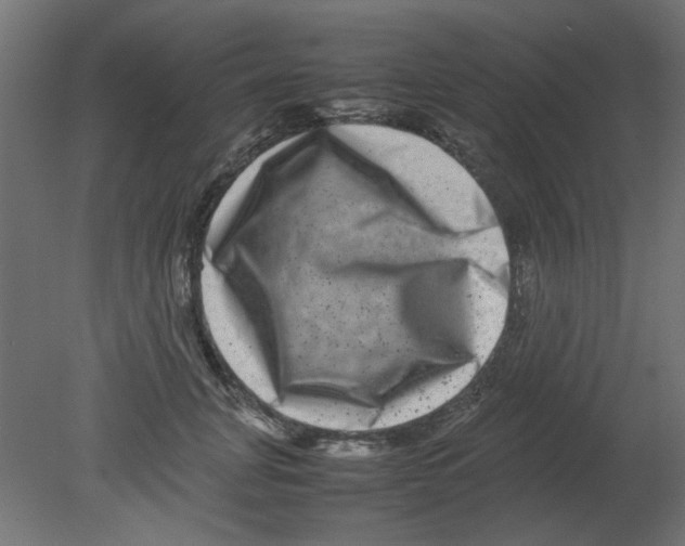 X0000080750751200701122003