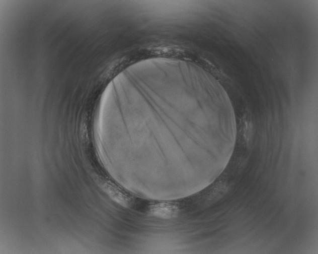 X0000080750754200701122003