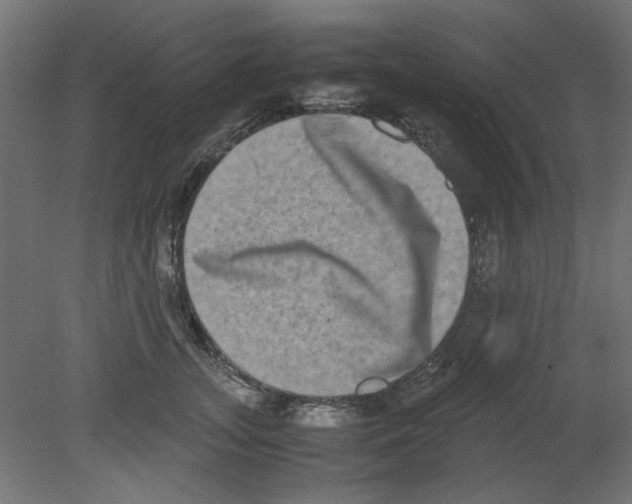 X0000080750755200701122003