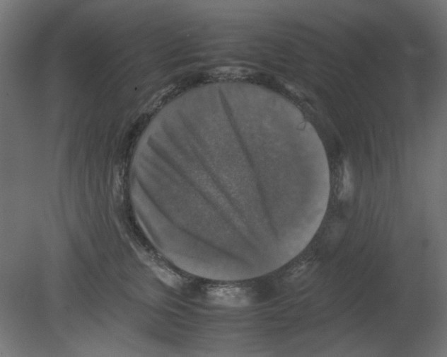 X0000080750759200701122003