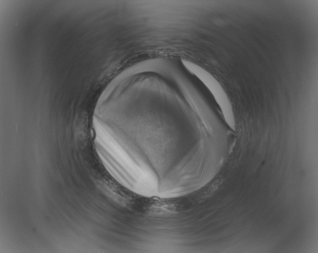 X0000080750760200701122003