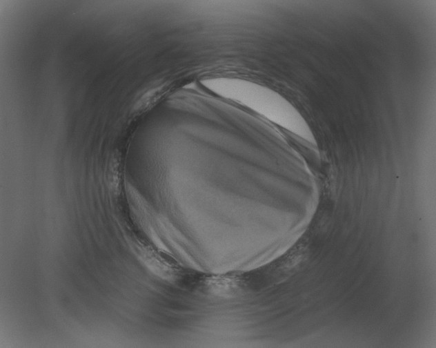 X0000080750762200701122003