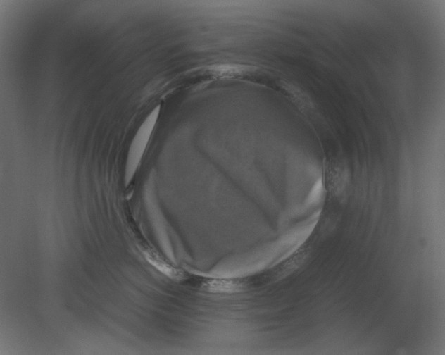 X0000080750766200701122003