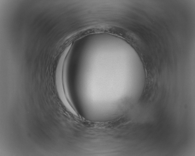 X0000080750773200701122002